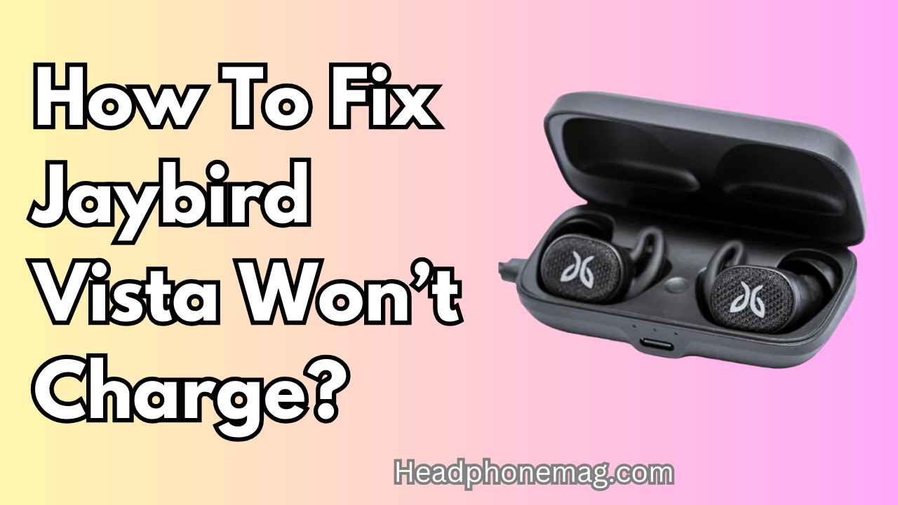 How To Fix Jaybird Vista Won’t Charge?