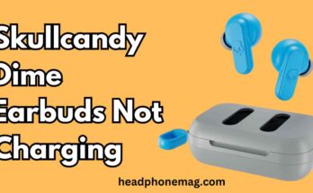 Skullcandy Dime Earbuds Not Charging